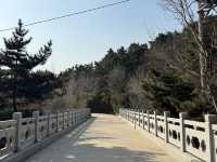 「威海山區肺」 環翠樓公園，仲有平價6頭鮑食！