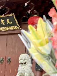 🌸✨【春日限定！廣州光孝寺の賞花全攻略】✨🌸   