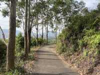 From Sheung Shui to Fanling — Wah Shan Military Path Hike