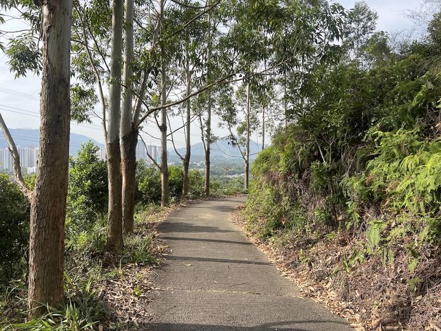 From Sheung Shui to Fanling — Wah Shan Military Path Hike