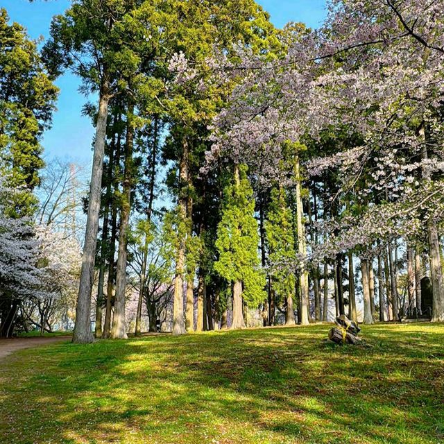Mikamine Park (三神峯公園)