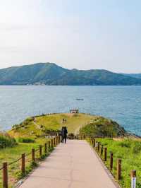 싱그러움 가득한 거제 여행 “바람의 언덕”🌿🤍
