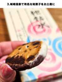 【兵庫／豊岡】『城崎温泉ってこんなところ7選』⁡