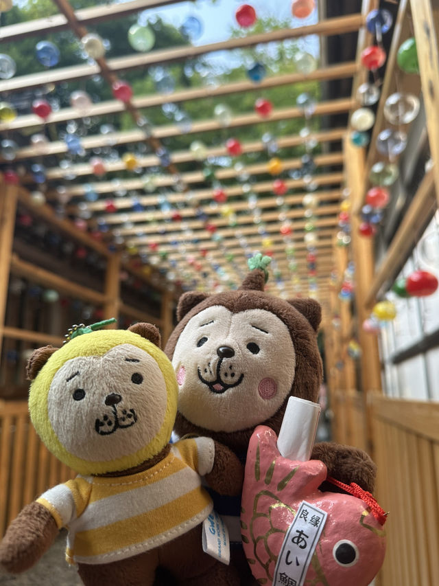 掘蕃薯釣鯛魚護身符的川越冰川神社⛩️🥰