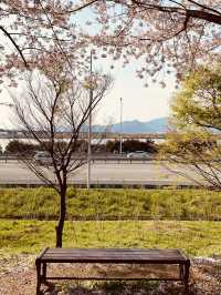 The Best Cycling Spot in Busan!