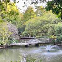 珠海中山公園｜空氣清新休閒之地