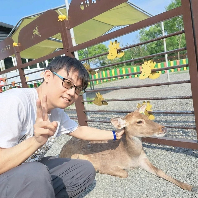 斑比山丘⛰️小鹿斑比的Wonderland🦌