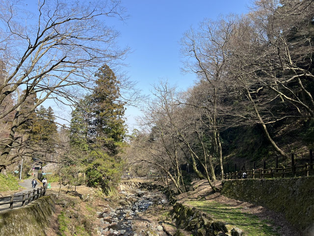 岐阜🇯🇵養老の滝