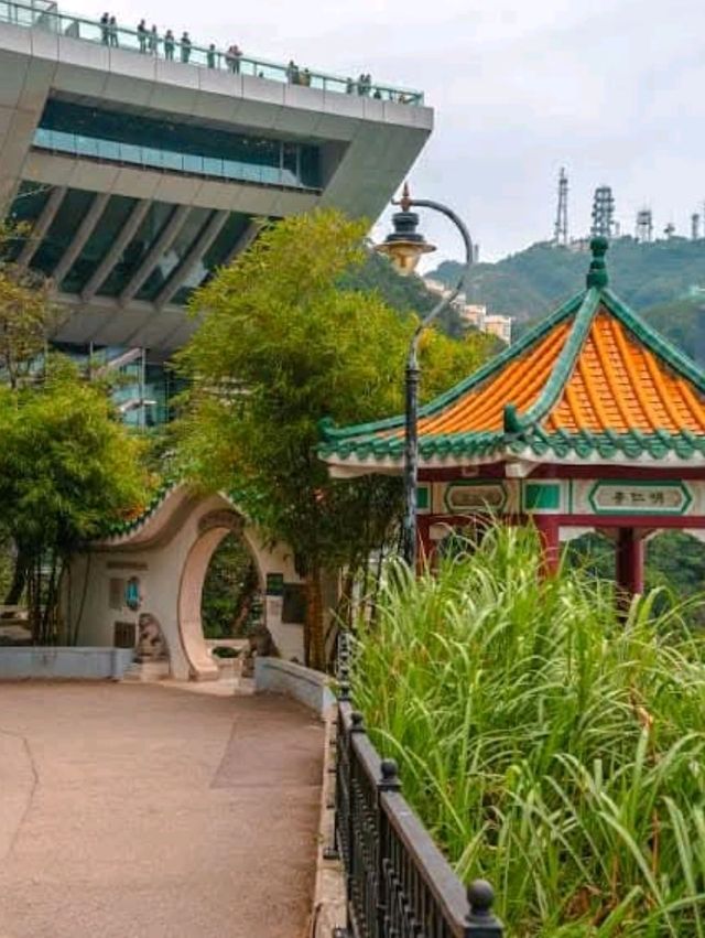 "The Peak Tram: Hong Kong’s Timeless Ascent"