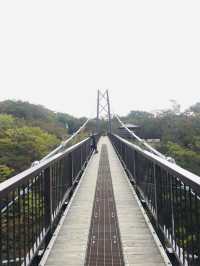 สะพานแขวน Kurenai ชมวิวธรรมชาติสุดชิล