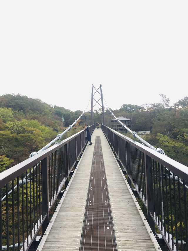 สะพานแขวน Kurenai ชมวิวธรรมชาติสุดชิล