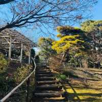 ～穿越時光 ~ 舊岩崎家宅邸庭園～  