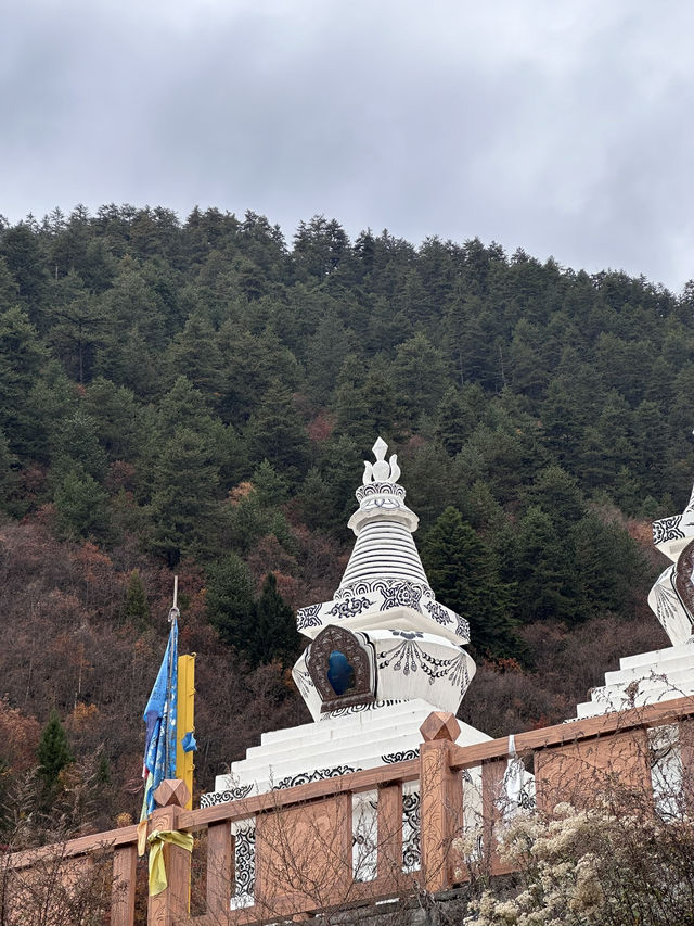 Enchanting Beauty of Jiuzhai Valley:where nature meets tranquility 