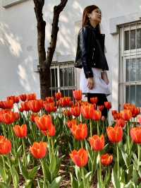Blossoms Over Thrills: A Serene Escape at E World