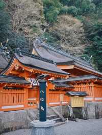 🍃 熊野古道 | 心を浄化する癒しの旅 🧘‍♀️✨