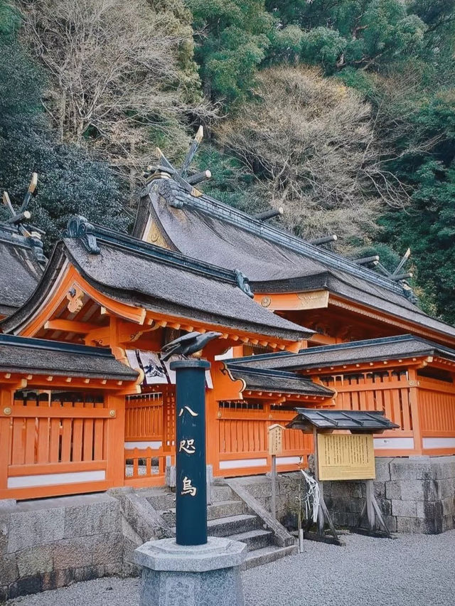 🍃 熊野古道 | 心を浄化する癒しの旅 🧘‍♀️✨