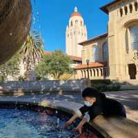 Exploring Stanford University: A Must-Visit Destination