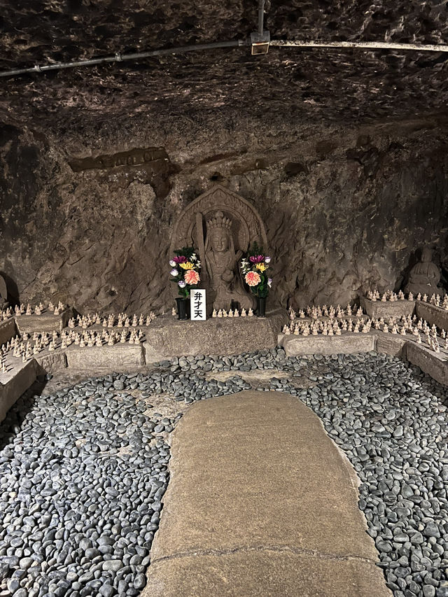 探索鎌倉長谷寺🌿 觀音菩薩與弁天窟的神秘魅力