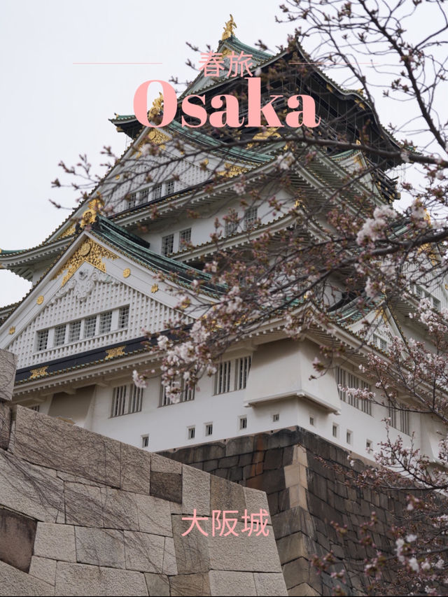 【大阪×春旅】 桜の名所100選 公園全体を埋めつくす3000本の桜