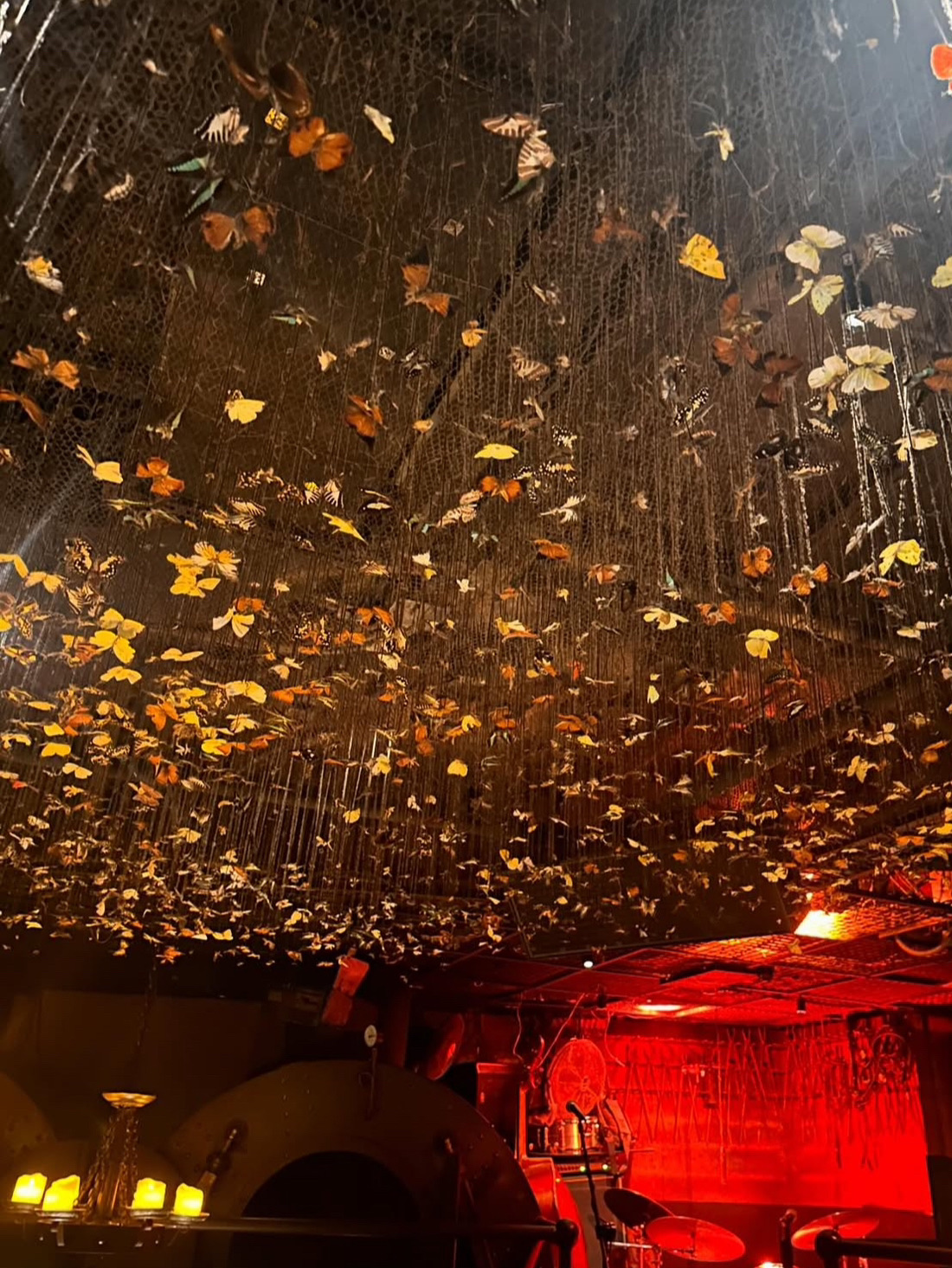 iron fairies hong kong dress code A place where the fairies and the magic never fades., _________, #theironfairieshongkong #ironfairieshongkong #ironfairieshk #boutiquebars #cocktailsbars #hkbar #barhongkong #nightbar