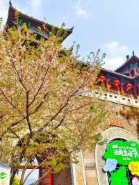 Yingzhou Isle: Nanjing’s Tranquil Lakeside Retreat