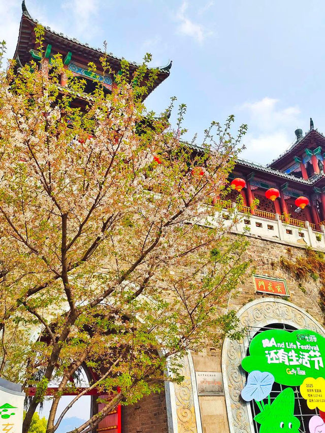 Yingzhou Isle: Nanjing’s Tranquil Lakeside Retreat