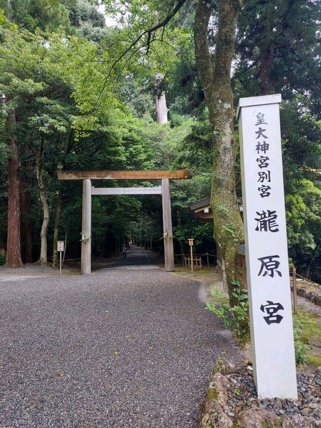 【三重おおだい周辺】自然豊かな環境で羽根を伸ばしてみよう✨