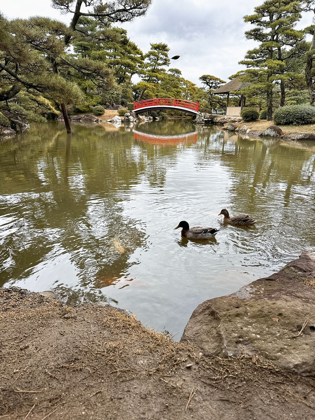 【丸亀】景色多様✨日本最大の広さの文化財庭園✨