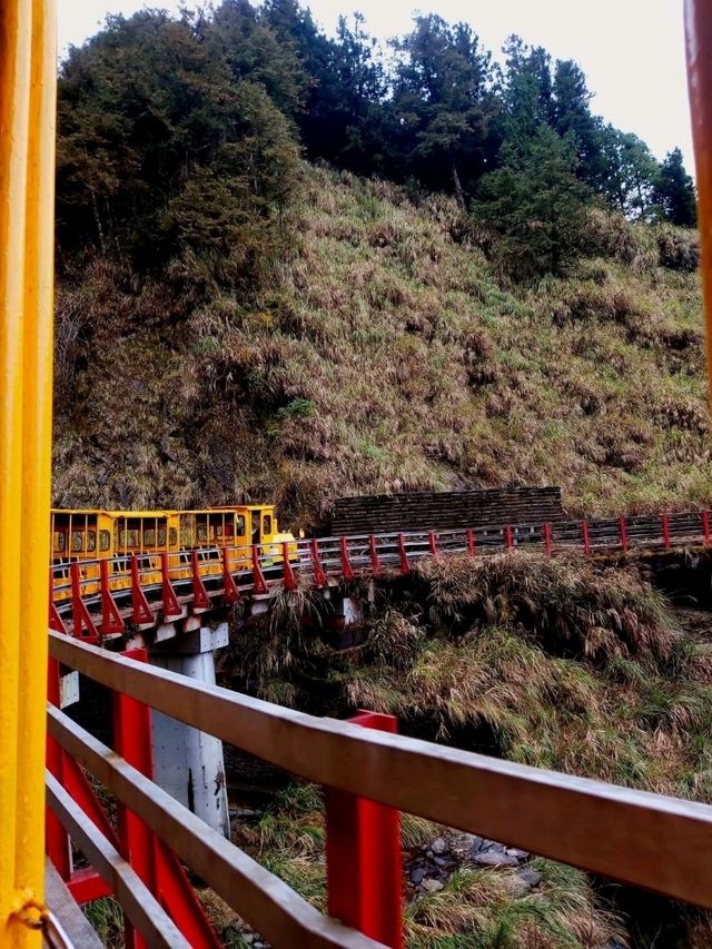 宜蘭太平山絕美✨️