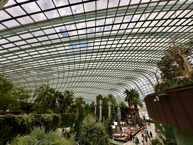 One Day in Singapore: Waterfalls, Lights & Futuristic Gardens