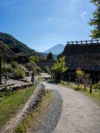 西湖いやしの里根場 🏯🍃 昔ながらの茅葺き屋根の風景に癒される