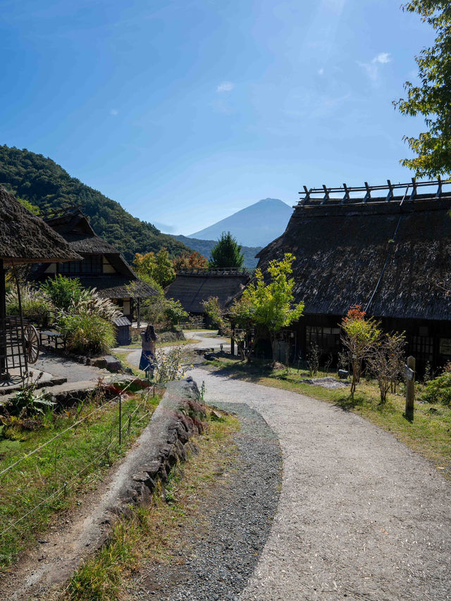 西湖いやしの里根場 🏯🍃 昔ながらの茅葺き屋根の風景に癒される