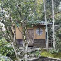 【愛媛】臥龍山荘🌱