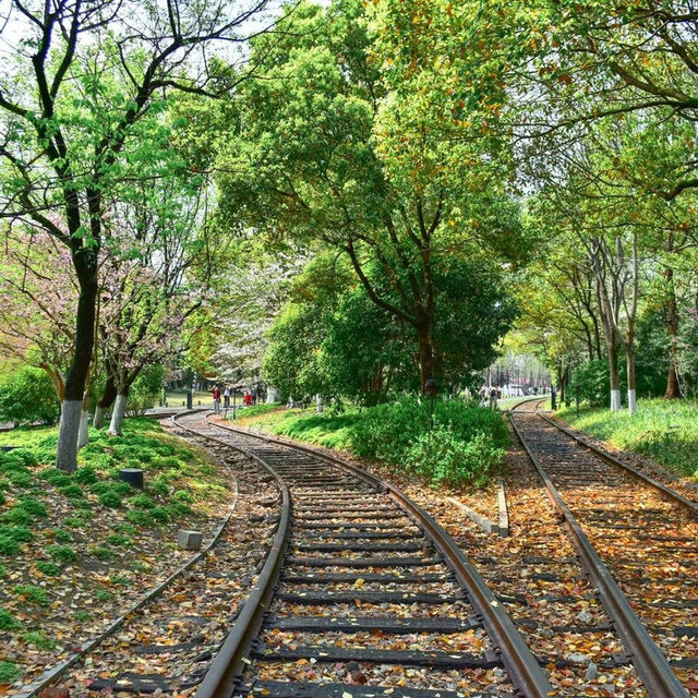 แวะไปถ่ายรูปสวยๆสวนรถไฟกับซากุระสีชมพูน่ารัก 