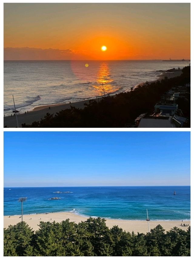 강릉 1박2일 힐링 여행 떠나자 