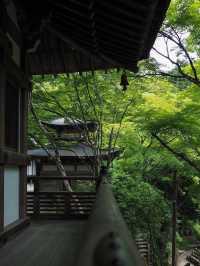 🍃 日本・京都【愛宕念仏寺】| 千体羅漢の不思議な世界
