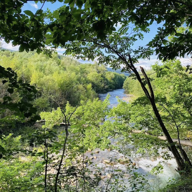 【北海道】🇯🇵 大滝ナイアガラの滝