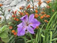 香港好去處 | 馬灣1868 | 打卡必去彩虹村莊