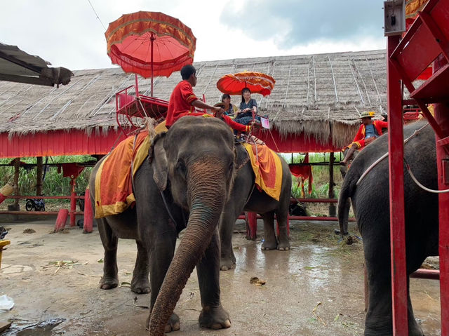 【タイ🇹🇭】バンコク観光