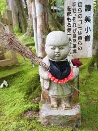 【石川×那谷寺】緑の苔に覆われた境内  羽織、番傘レンタルが無料