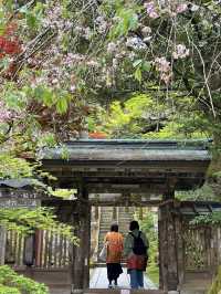 【石川×那谷寺】お化けのような怪奇石