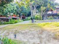 The Cliff Lipe Resort: A Spring Paradise