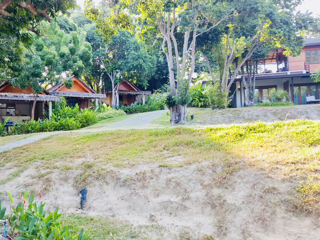 The Cliff Lipe Resort: A Spring Paradise