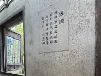 Wuzhen’s Indigo Magic: Hands-On with China’s Ancient Blue Dye