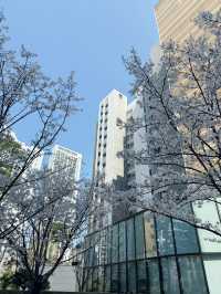 야외 데이트 하기 좋은 곳 추천드려요!