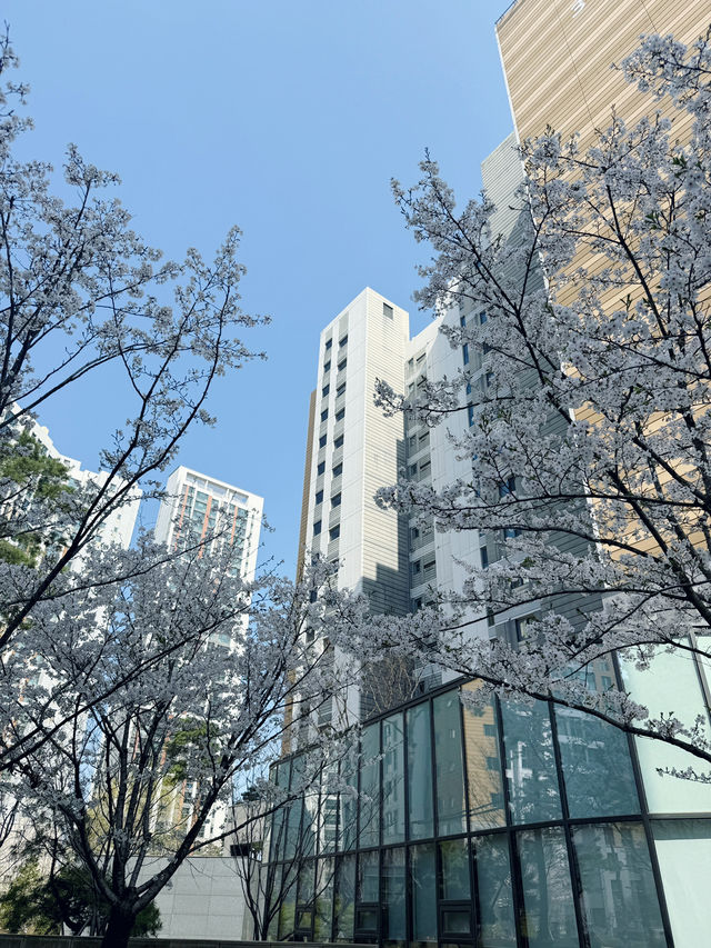 야외 데이트 하기 좋은 곳 추천드려요!