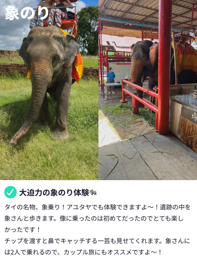 【バンコクから2時間🚃アユタヤ遺跡🇹🇭】