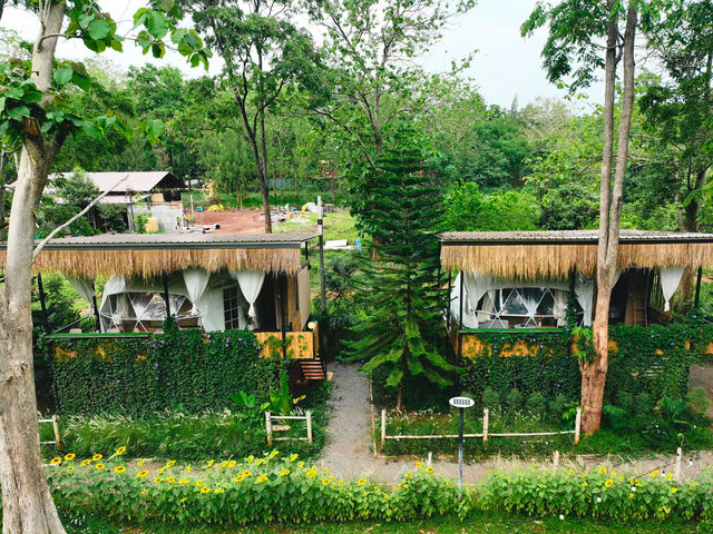 The Forest Camp เขาใหญ่