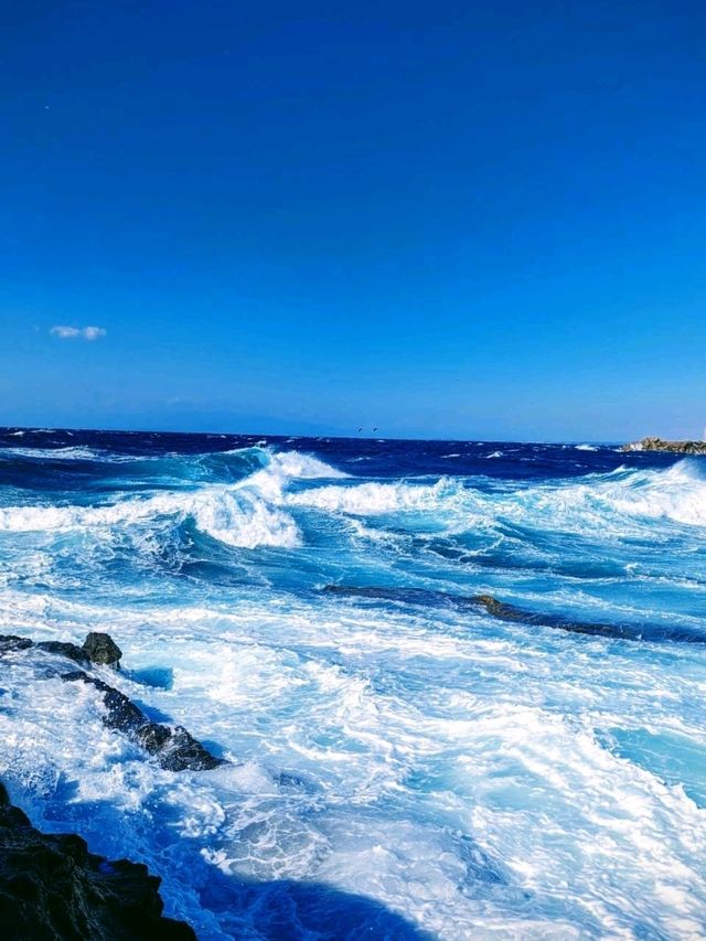 城ヶ島で景色や地層を体験