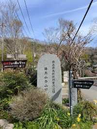 【陣馬山】日帰り登山にオススメな陣馬山⛰️